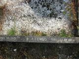 image of grave number 854036